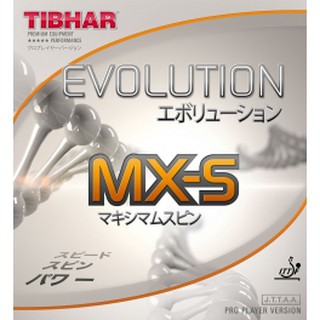 ภาพหน้าปกสินค้ายางปิงปอง Tibhar evolution MXS ฟองน้ำMAX ซึ่งคุณอาจชอบราคาและรีวิวของสินค้านี้