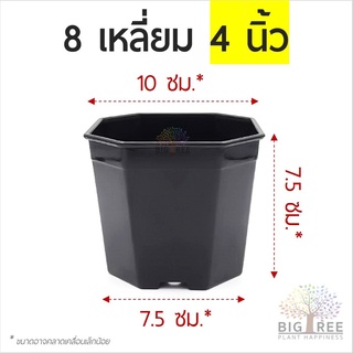 กระถาง 8 เหลี่ยม💢กระถางแคคตัส🌵4 นิ้ว สีดำ คุณภาพดี👍แข็งแรง ทนทาน🏜กระถางกระบองเพชร🌳กระถางพลาสติก🗑(พร้อมส่ง)