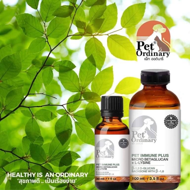 pet-ordinary-ขนาด-100-ml-วิตามินกระตุ้นภูมิคุ้มกัน-สำหรับสุนัขและแมว-ผลิตจากเบต้า-กลูแคนและไลซีน-รสตับ