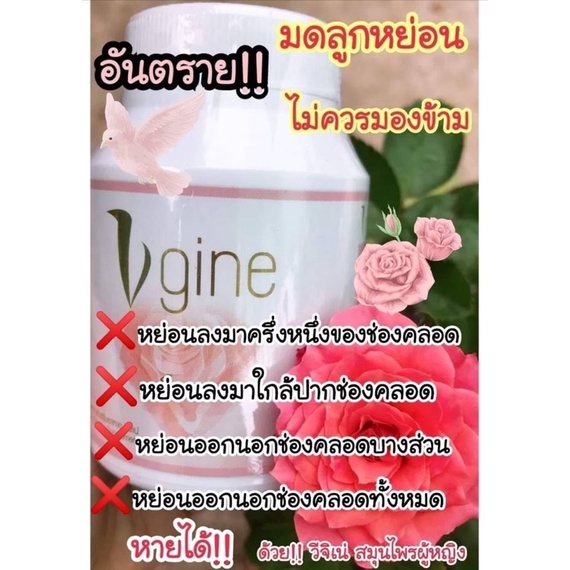 vgine-วีจิเน่-ส่งฟรี-3-กระปุก-อาหารเสริมสำหรับผู้หญิง-อกฟู-รูฟิต-ปวดประจำเดือน
