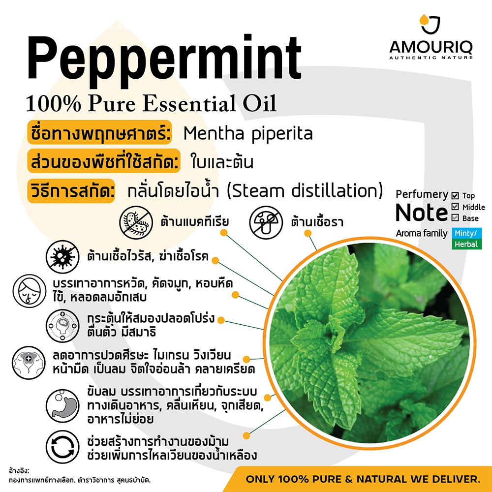 นํ้ามันหอมระเหยเปปเปอร์มินท์-เปปเปอร์มินต์กลั่นไอน้ำ-เข้มข้นบริสุทธิ์-100-usa-peppermint-essential-oil-steam-distilled