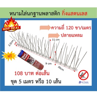 หนามกันนก หนามไล่นก หนามสแตนเลส หนามกันนกเกาะ bird spike  จำนวนขาพิเศษ 120 ขา ปลายแหลม (ราคาพิเศษถึงสินเดือนนี้)