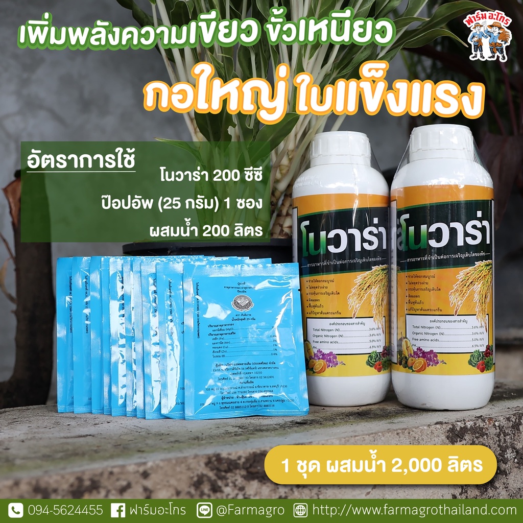 โนวาร่า-1-ลิตร-ป๊อปอัพ-25-กรัม-ของแท้ต้องฟาร์มอะโกร