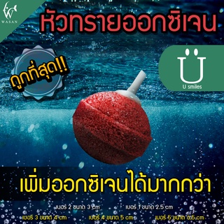 ภาพหน้าปกสินค้าหัวทราย หัวออกซิเจน เพิ่มออกซิเจนในตู้ปลา BY ร้านวสันต์ อุปกรณ์ปลา ที่เกี่ยวข้อง