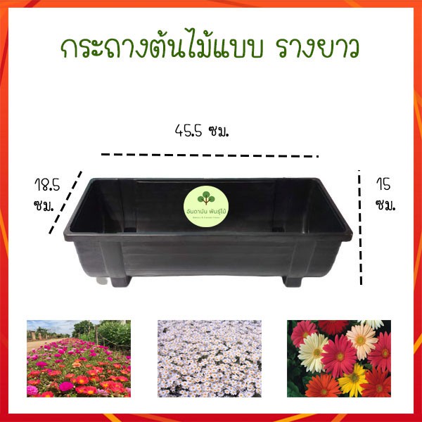 กระถางต้นไม้-พลาสติก-แบบรางยาว-สีดำ-ใช้ภายนอก-เหมาะสำหรับปลูกดอกไม้-ขนาด-กว้าง-18-ซม-ยาว-45-ซม-สูง-15-ซม-มีรูระบายน้ำ