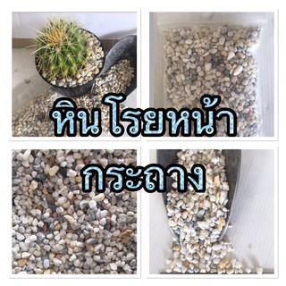 หินโรยหน้ากระถางหรือใส่ตู้ปลา สีขาว-เทา คละขนาด บรรจุ ถุงละ 1 กก