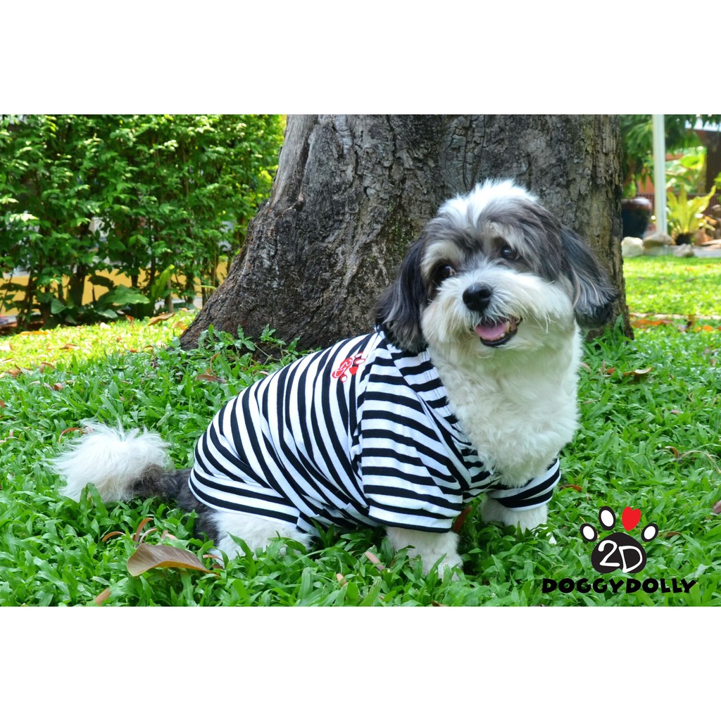 pet-cloths-doggydolly-เสื้อผ้าแฟชั่น-เสื้อผ้าสัตว์เลี้ยง-เสื้อผ้าหมาแมว-เสื้อยืด-เสื้อฮู้ด-t580