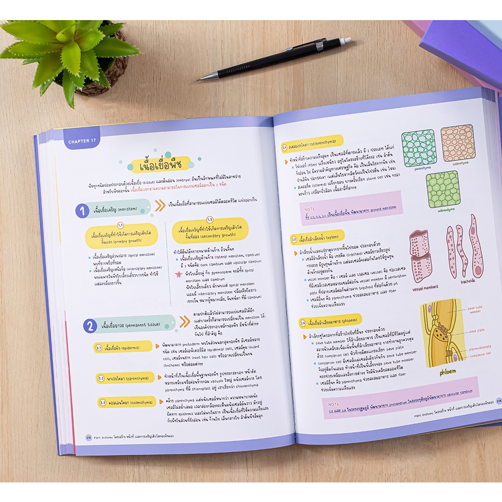 หนังสือ-tbx-คู่มือภาพชีววิทยา-visual-guide-to-biology-9786164493407