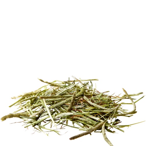 timothy-hay-หญ้าทิโมธี-1kg-หญ้าไฟเบอร์สูง30-จากแหล่งเพาะปลูกชั้นดีในสหรัฐอเมริกา