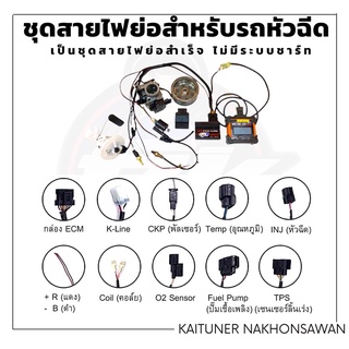 ชุดสายไฟย่อระบบหัวฉีดทุกรุ่นอย่างดี(เฉพาะชุดสายไฟย่อเท่านั้น อุปกรณ์อื่นคือการอธิบายการทำงานของระบบ)ไม่มีระบบชาร์จนะคะ