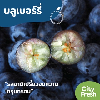 CityFresh บลูเบอร์รี่ เกรดพรีเมี่ยม Blueberry OZblu (ออซบลู) ผลไม้นำเข้า