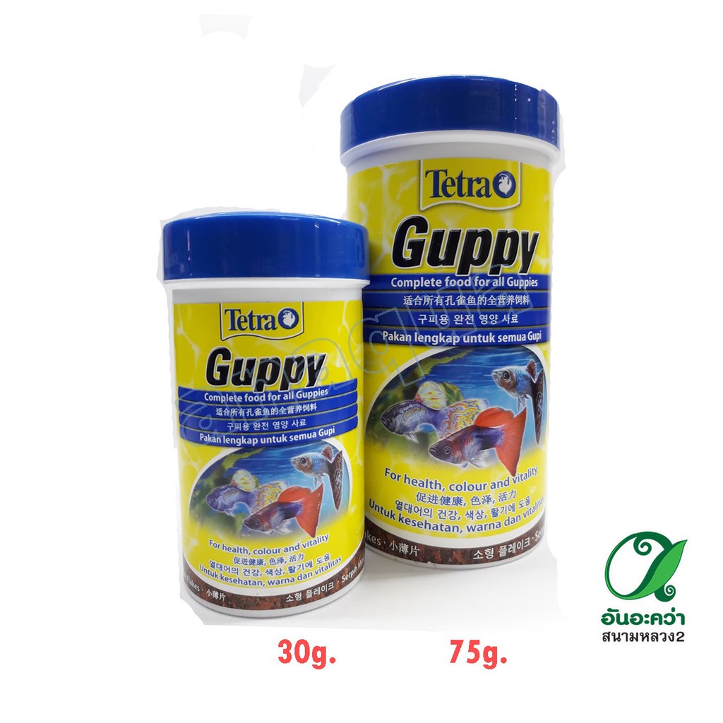 ภาพหน้าปกสินค้าTetra Guppy (30g./75g.) อาหารชนิดแผ่น สำหรับปลาหางนกยูง ปลาคิลลี่