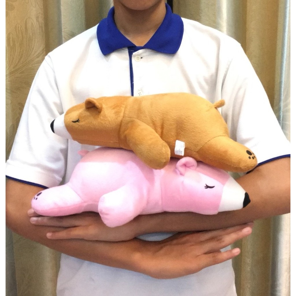 ภาพหน้าปกสินค้าตุ๊กตา หมีขี้เซา ไซร์มินิ ผ้า 1C ขนาด 30 ซม. จากร้าน tuktaninoshop บน Shopee