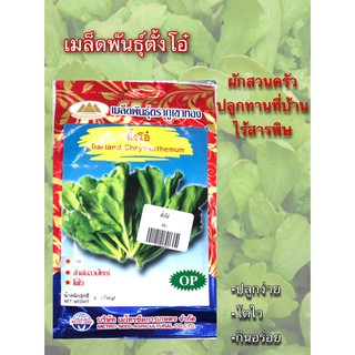 เมล็ดพันธุ์ตั้งโอ๋ ตราภูเขาทอง