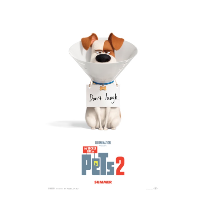 รูปโปสเตอร์-หนัง-pets2