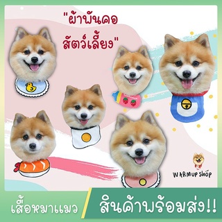 ปลอกคอเเมว สุนัข ผ้าพันคอ ผ้ากันเปื้อนหมา สำหรับสัตว์เลี้ยง