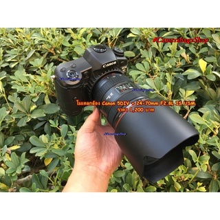 โมเดลทรงกล้องเลนส์ถ่ายภาพ Canon 5DIV + 24-70mm F2.8L IS USM