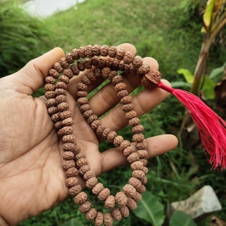 Japamala rudraksha 108 + 1 109