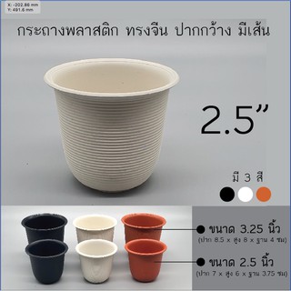 กระถางพลาสติก 2.5" (ซื้อ 10 แถม 1ค่ะ)  ทรงจีน กระถางแคคตัส กระถางไม้อวบน้ำ