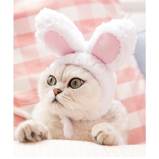 หมวกหูกระต่าย ผ้ากํามะหยี่ขนนิ่ม อุปกรณ์เสริม สําหรับสัตว์เลี้ยง สุนัข แมว