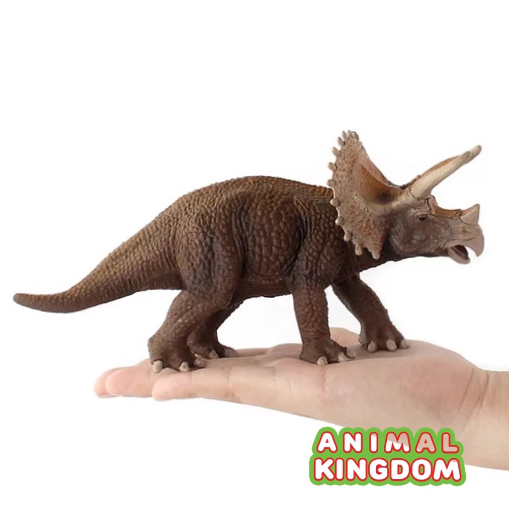 animal-kingdom-โมเดลไดโนเสาร์-triceratops-ขนาด-20-50-cm-จากหาดใหญ่