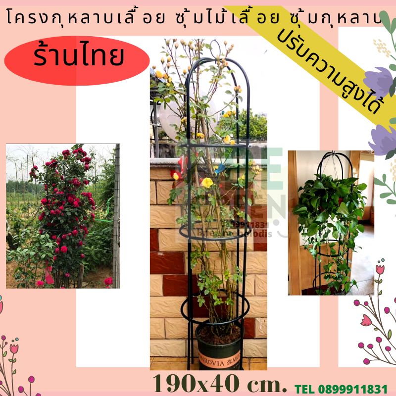 ซุ้มกุหลาบ-โครงกุหลาบ-ซุ้มไม้เลื้อย-190ซม-โครงเหล็ก-ซุ้มดอกไม้-กุหลาบเลื้อย-สีขี้ม้า-ปรับระดับได้-ร้านไทย-ประกันสินค้า