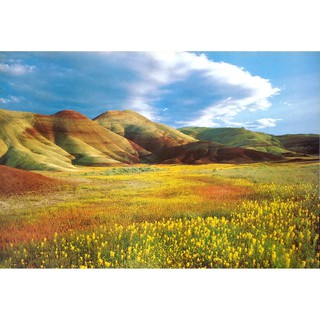 โปสเตอร์ รูปถ่าย ภูเขา ทุ่งหญ้า ดอกไม้ วิว ธรรมชาติ Landscapes Nature POSTER 20”x30” Inch Beautiful Mountain Wallpaper