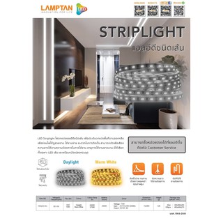 LAMPTAN ไฟเส้น LED Strip light ม้วน 5M ไม่กันน้ำ 14.4W/เมตร แสงสีเหลือง