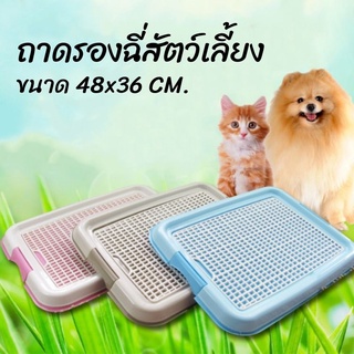 ภาพหน้าปกสินค้าถาดรองฉี่สุนัข ห้องน้ำสุนัข ห้องน้ำหมา ถาดฉี่หมา ขนาด48x36 cm ถาดรองฉี่สัตว์เลี้ยง ห้องน้ำหมา ถาดรองฉี่ Dog Toilet Dave ที่เกี่ยวข้อง