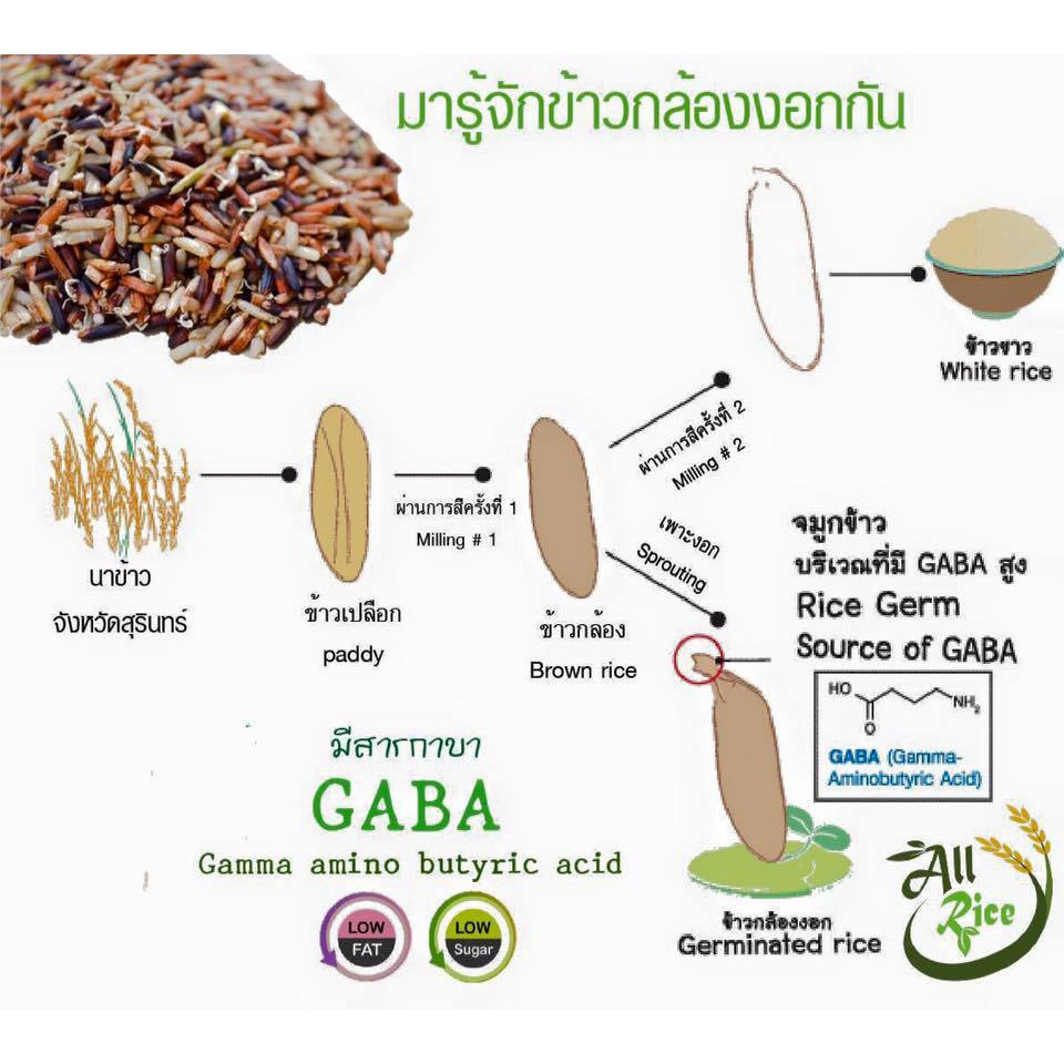ข้าวกล้องงอก กาบ้าไรซ์ (GABA Rice) ขนาด 1 กก. | Shopee Thailand