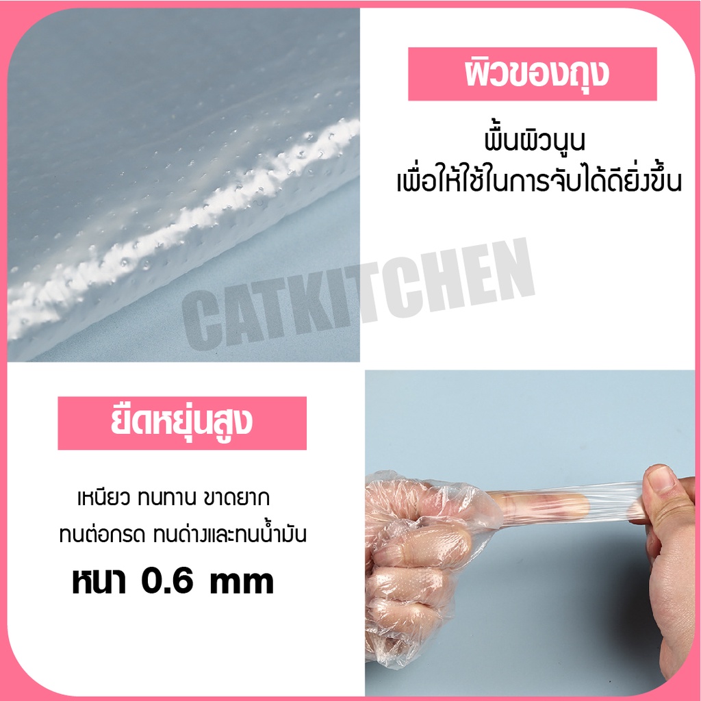 ภาพสินค้า️ส่งฟรี ️ ถุงมือพลาสติก ถุงมือพลาสติกใส (แบบกล่อง 200 ชิ้น) ถุงมือ ถุงมือใช้แล้วทิ้ง ถุงมือพลาสติกใส ถุงมืออเนกประสงค์ จากร้าน cat.kitchen บน Shopee ภาพที่ 1