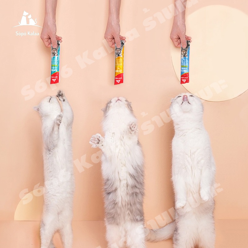 ภาพสินค้าSp Kalaa ขนมเเมวเลีย 15g มีให้เลือก5รส cat snack stick อาหารแมว แมวเลีย อาหารแมวเลีย จากร้าน caitlin999 บน Shopee ภาพที่ 2