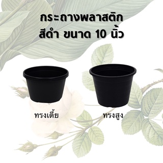 ภาพหน้าปกสินค้ากระถางพลาสติก ขนาด 10 นิ้ว ทรงเตี้ย/สูง สีดำ กระถางต้นไม้พลาสติก มาตรฐาน แข็งแรง ที่เกี่ยวข้อง