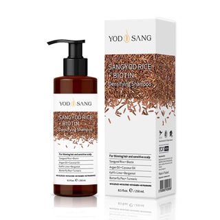 YODSANG SANGYOD RICE + BIOTIN Densifying Shampoo แชมพูข้าวสังข์หยด สูตรเพิ่มไบโอติน ลดผมร่วง ยาวไว 2 เท่า  250ml
