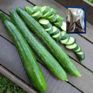 🥒แตงกวาญี่ปุ่น🥒ปลูกง่าย โตไว50 เมล็ด (ไม่ใช่พืชที่มีชีวิต)