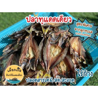 ปลาทูแดดเดียว ไร้ก้าง พร้อมส่ง/สด/ใหม่ การันตีความอร่อย ราคาดีที่สุด สูตรเค็มน้อย!
