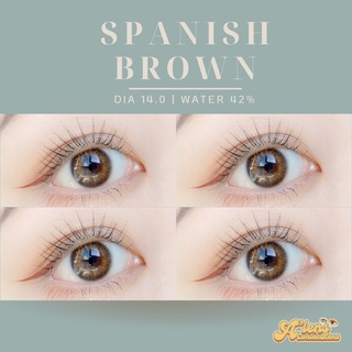 Spanish brown | คอนแทคเลนส์รายเดือน