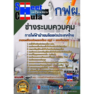 แนวข้อสอบช่างระบบควบคุม การไฟฟ้าฝ่ายผลิตแห่งประเทศไทย (กฟผ)