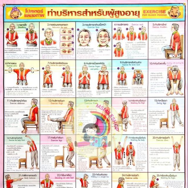 โปสเตอร์แสดงภาพท่ายืดกล้ามเนื้อกายภาพบำบัด Sket The Muscle Physical Therapy  ไทย-อังกฤษ | Shopee Thailand