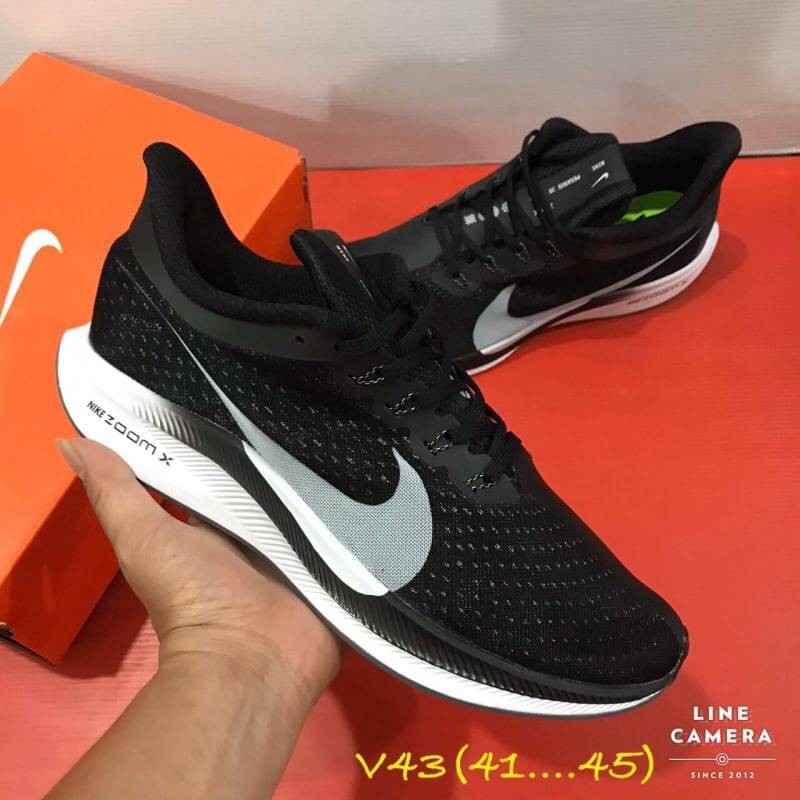 zoomx pegasus 35