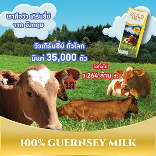 goldmilk-แพ็ค4กล่อง