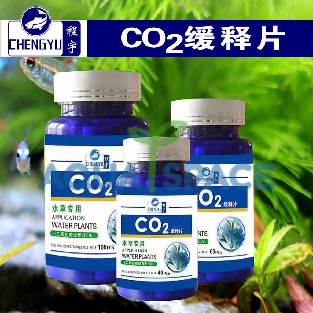 คาบอนเม็ด-co2-tablet-สำหรับสร้างคาบอนไดออกไซด์ในน้ำ-ขนาด-60-เม็ด-สำหรับตู้เลี้ยงไม้น้ำ-พรรณไม้น้ำ-ตู้ปลา