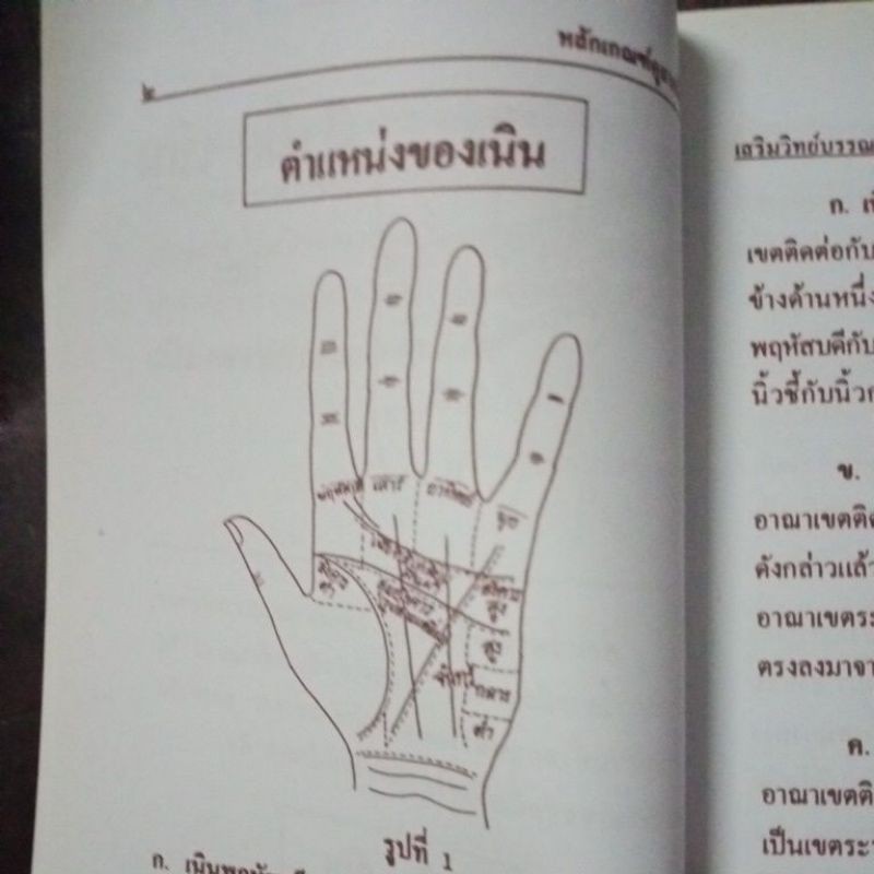 ตำรา-หลักเกณฑ์-ดูลายมือ-แม่น-พยากรณ์-ลายมือ