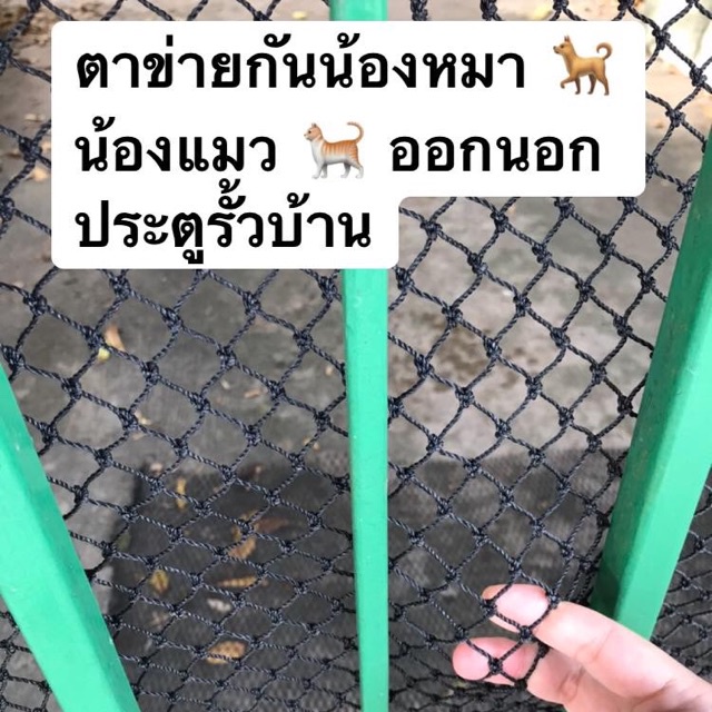 ตาข่ายกันน้องหมา-น้องแมว-ออกนอกประตูรั้วบ้าน