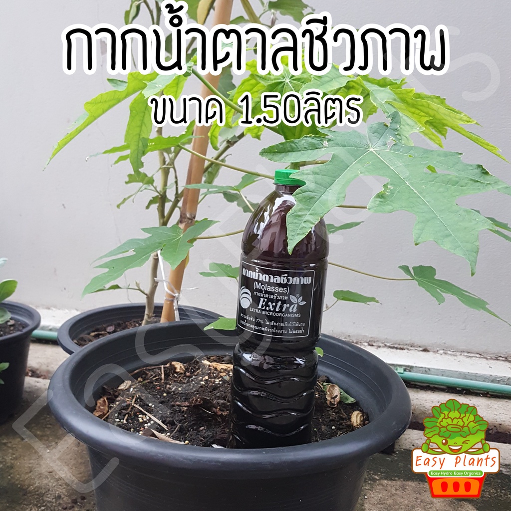 กากน้ำตาลชีวภาพ-molasses-ตรา-extra-microorganisms-ขวด-1-500cc-สำหรับขายเชื้อจุลินทรีย์-ทำน้ำ-em-ปุ๋ยหมัก-ไล่แมลง