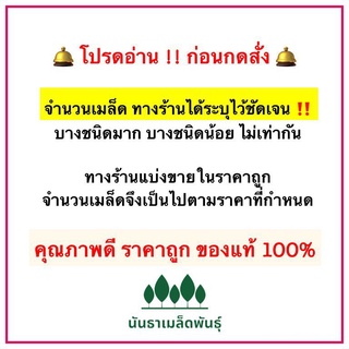 (ผู้ค้าส่งเมล็ดพันธุ์) พร้อมส่ง ❗ เมล็ดพันธุ์แท้ OP  100 % สายพันธุ์ทนร้อน ป๊อปปี้แคลิฟอร์เนียคละสี - Mixed California P