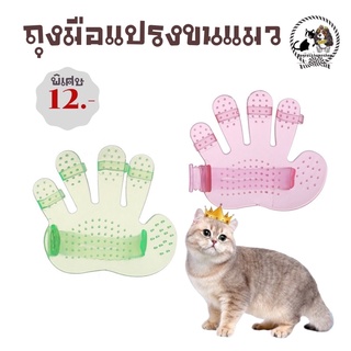 ถุงมือแปรงนสัตว์เลี้ยง😻🐶ราคาชิ้นละ12 บาท มี3 สี พร้อมส่ง มีชำระปลายทางค่าส่ง22฿