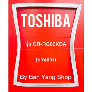 ขอบยางตู้เย็น TOSHIBA รุ่น GR-RG66KDA (บานล่าง)