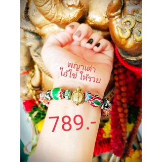 พญาเต่า ไอ้ไข่ ปลดหนี้​ ให้รวย