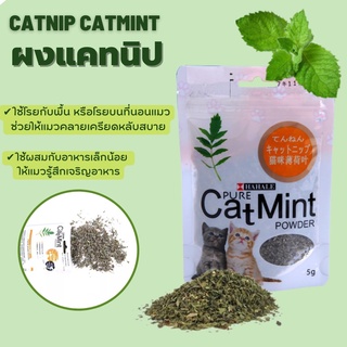 ภาพหน้าปกสินค้า#P017 ผงแคทนิป สมุนไพรสำหรับแมว Catnip ( ขนาด 5 กรัม ) ที่เกี่ยวข้อง